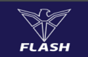 Flash Electronics